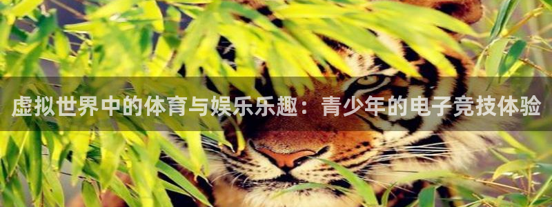 919体育直播最新更新