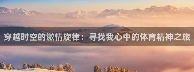 919体育在线直播官网