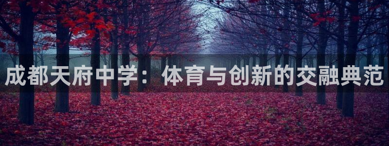 919体育场