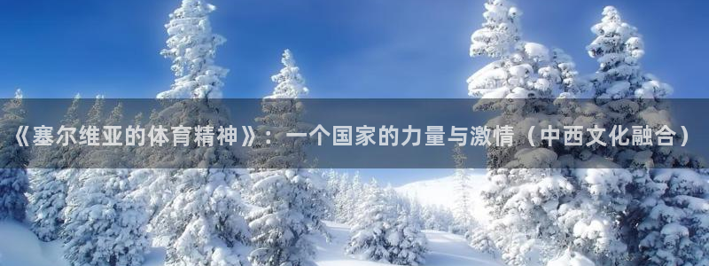 919体育场发车时间表