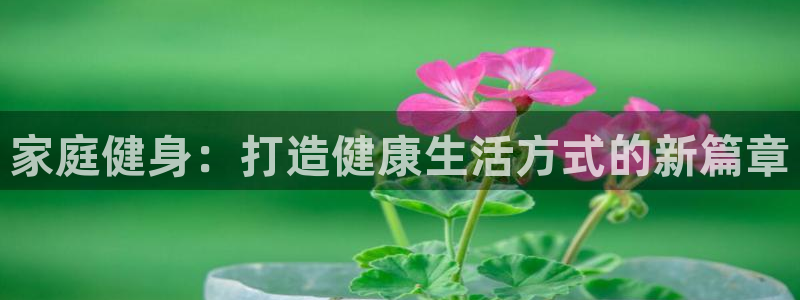 919体育赛事直播在线观看：家庭健身：打造健康生活方式的新篇章