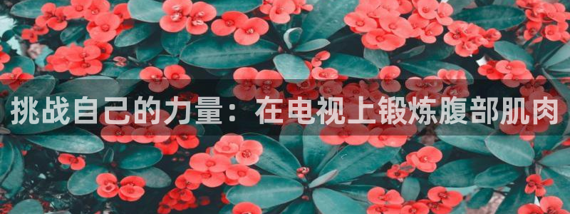 919体育赛事直播在线观看：挑战自己的力量：在电视上锻炼腹部肌肉