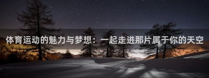 919体育场小区路线：体育运动的魅力与梦想：一起走进那片属于你的天空