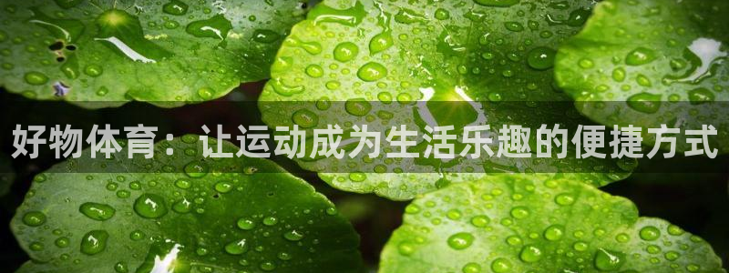 919体育场
