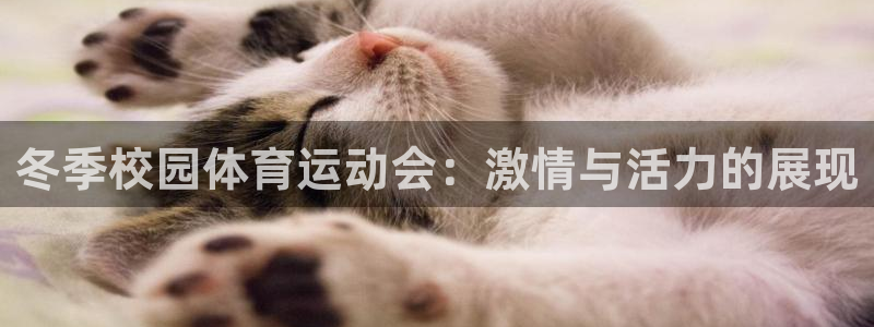 919体育赛事直播在线观看